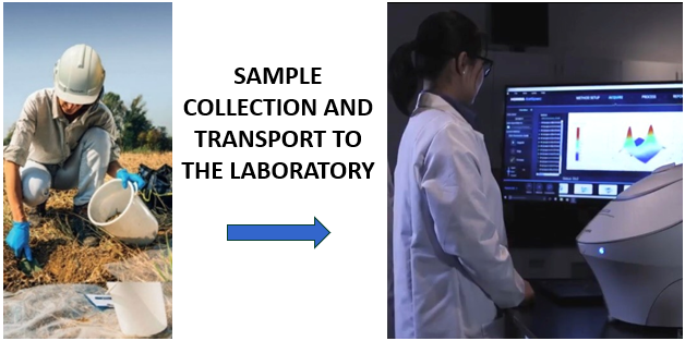 Traditional Soil Testing Method - Manual Sampling and Laboratory Analysis
